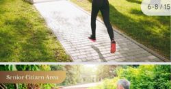 Apartments and shops