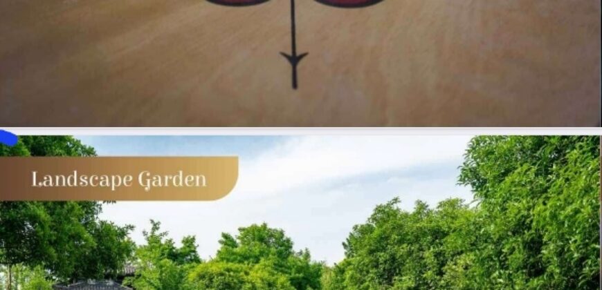 Apartments and shops