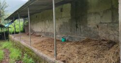 Cowshed For Rent In Panvel