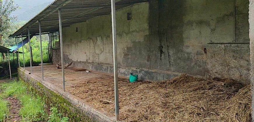 Cowshed For Rent In Panvel