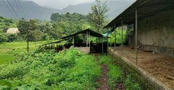 Cowshed For Rent In Panvel