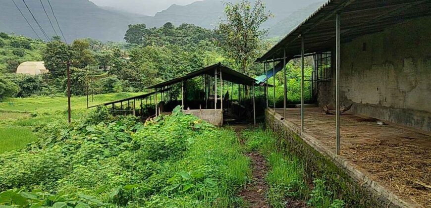 Cowshed For Rent In Panvel