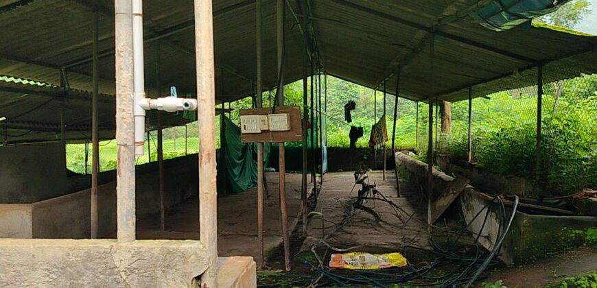 Cowshed For Rent In Panvel