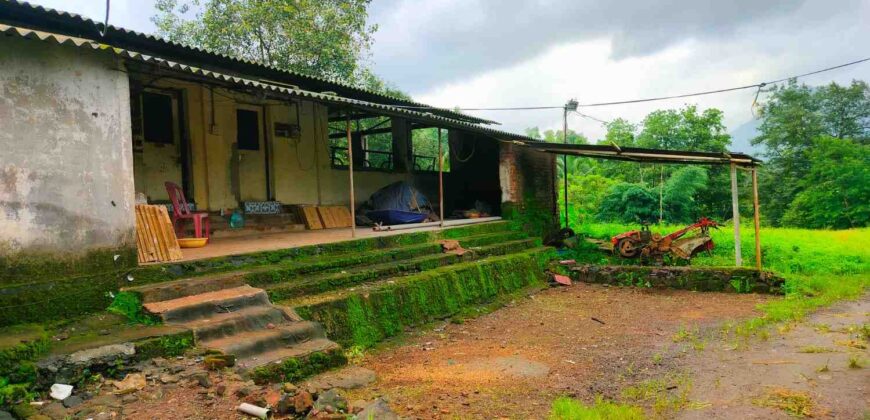 Cowshed For Rent In Panvel