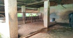 Cowshed For Rent In Panvel