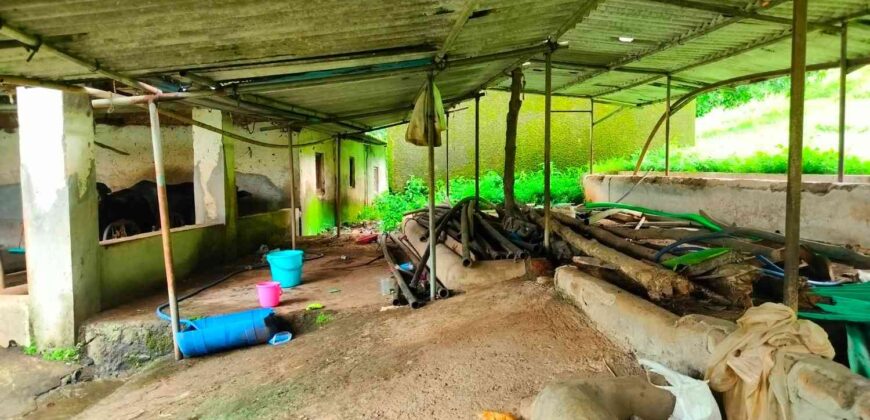 Cowshed For Rent In Panvel